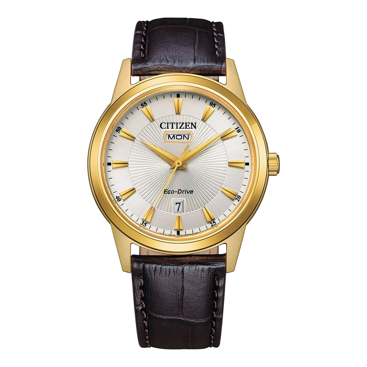 Citizen Men's Leather Watch (Brown)