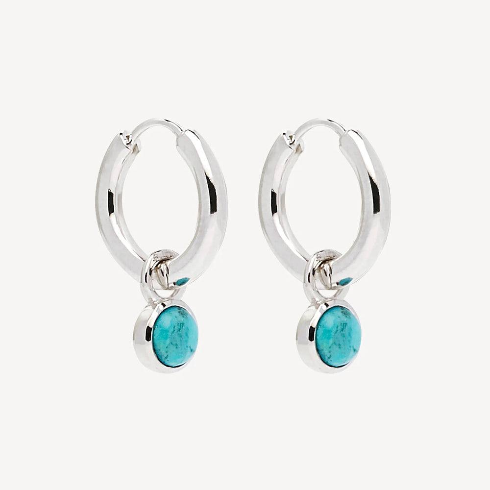 Heavenly Turquoise Earring
