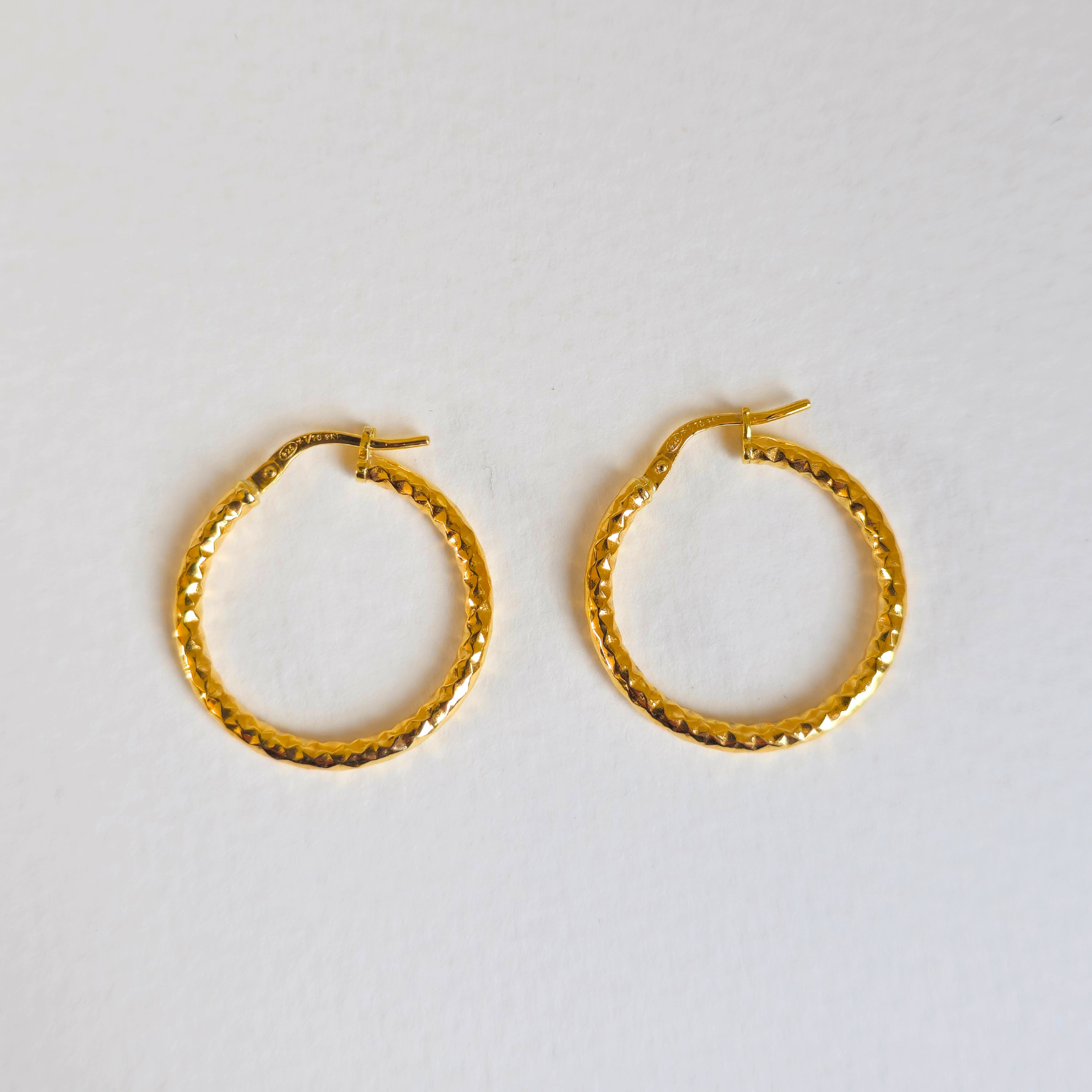 Hartley Hoop Earring