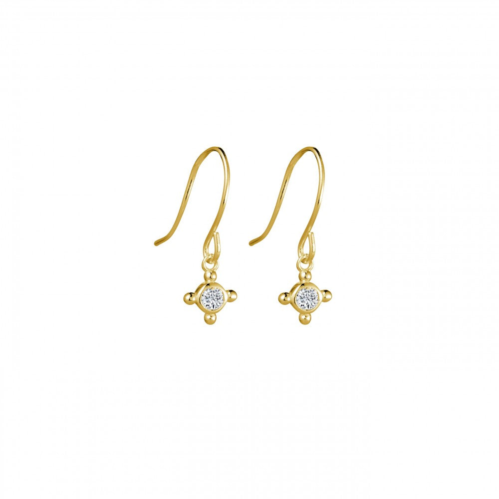 Sparkle Hook Earrings