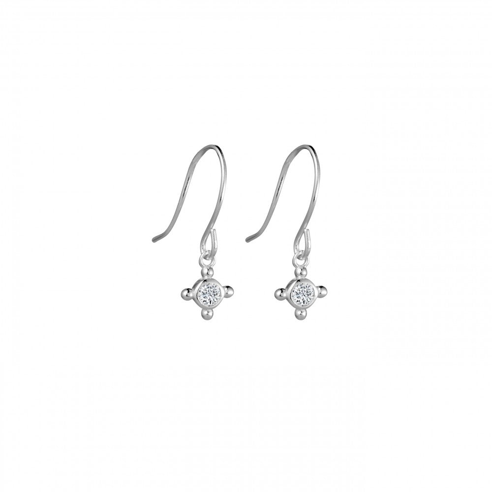 Sparkle Hook Earrings