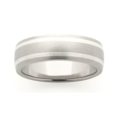 Titanium  & Silver Wedder